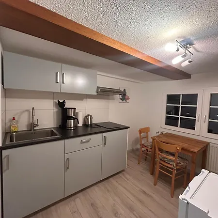 Schwarzwaldhus Tannenblick Todtmoos